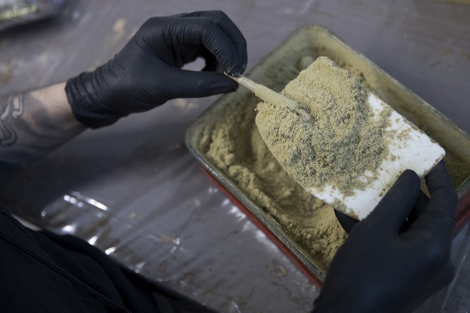 caption: Tommy Le uses THC oil to add keif, a concentrated form of cannabis, to the outside of a rolled joint on Wednesday, July 18, 2018, at House of Cultivar in Seattle.