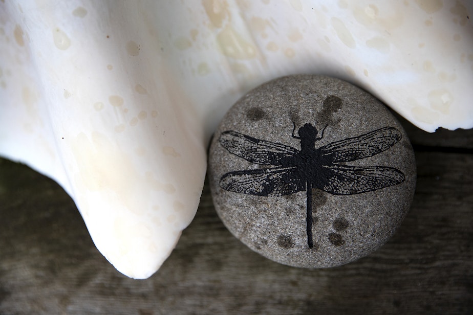 caption: A dragonfly is painted on a rock outside of Tui Tui the houseboat and self declared sovereign nation, on Tuesday, March 26, 2024, in Seattle. Janet Yoder’s nickname is ‘Dragonfly.’