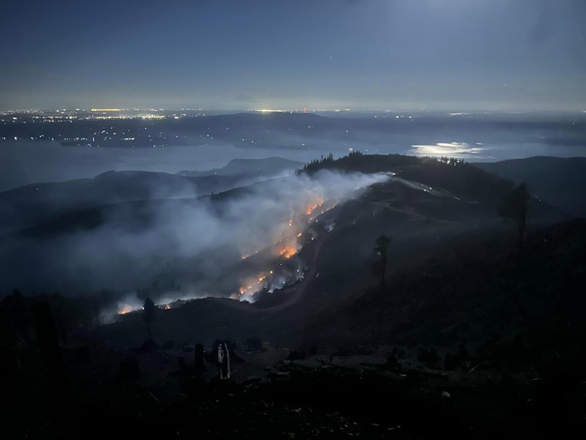 caption: The 2620 Road Fire near Brinnon burning, as viewed from above, in the early evening hours on August 18, 2024.