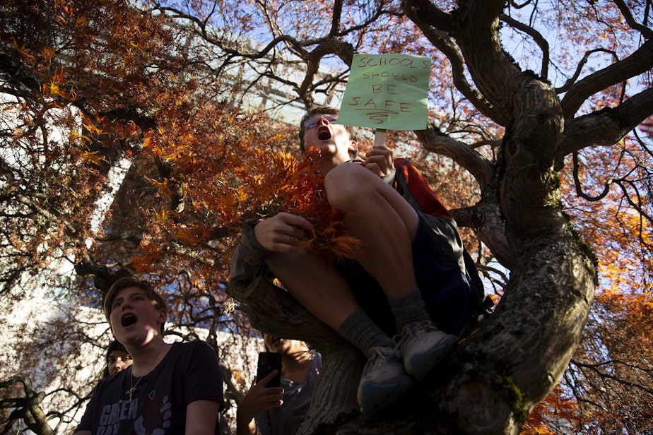 caption: Emmett O’Donnell, a 9th-grade student at the Northwest school, chants from a tree during a student walkout in protest of gun violence in schools on Monday, November 14, 2022, at Seattle City Hall.