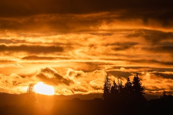sun northwest washington generic