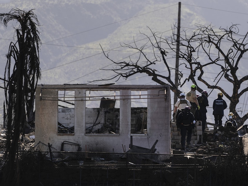 caption: Search and rescue team members work in a residential area devastated by a wildfire in Lahaina, Hawaii, on Aug. 18, 2023.