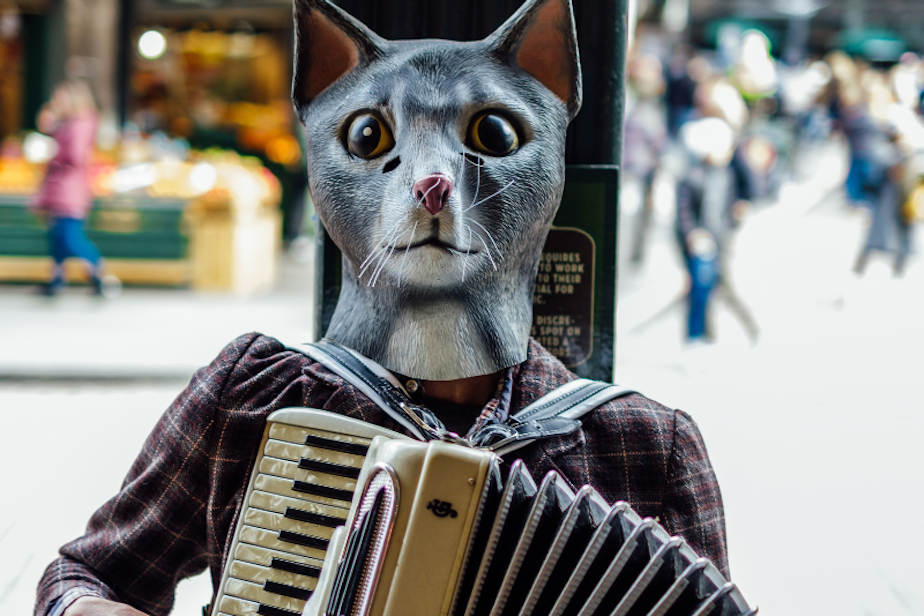 caption: A cat / person playing an accordion at Seattle's Pike Place Market.